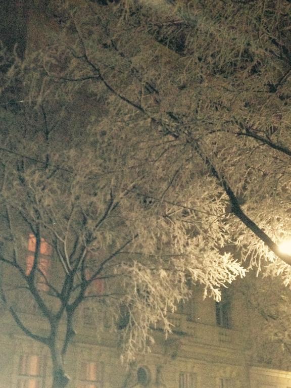 Charming Viennese * Vienna